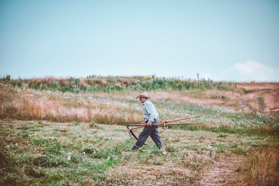 Un agriculteur marche dans un champ rural en portant des outils agricoles traditionnels par une journée ensoleillée.
